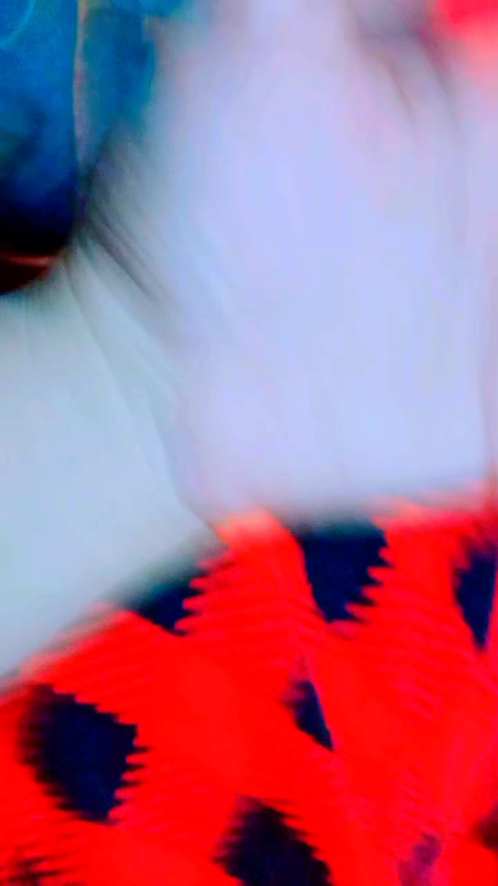 @Anshrajaan