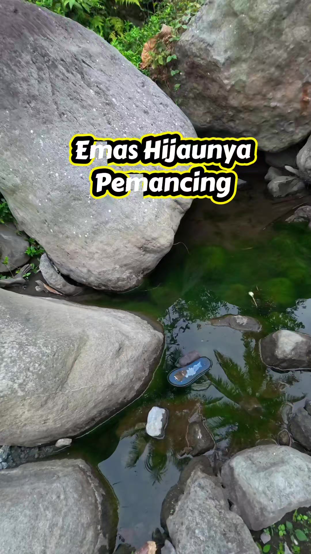 @Gasle Fishing