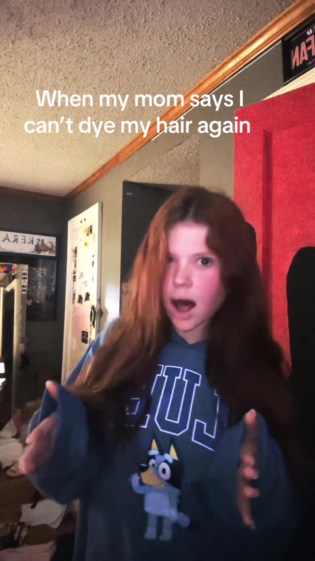 @bear0908