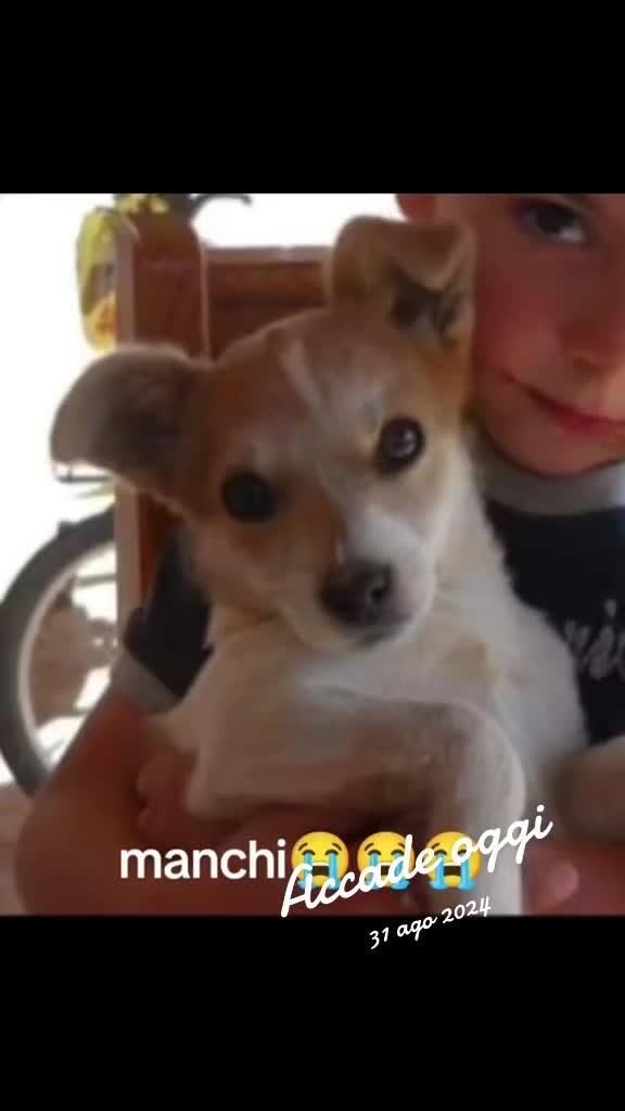@Manuela