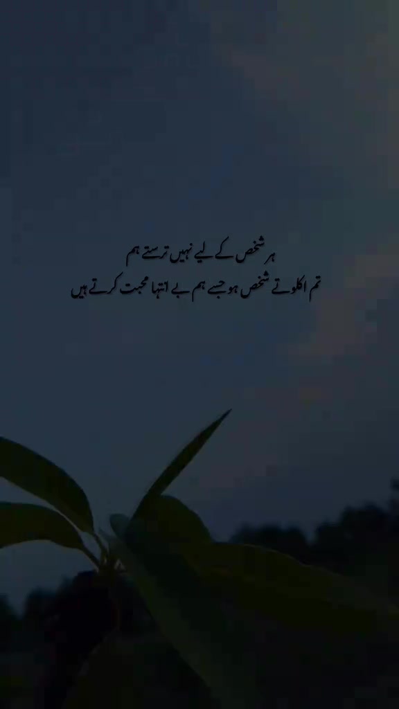 @Tayyab Khan