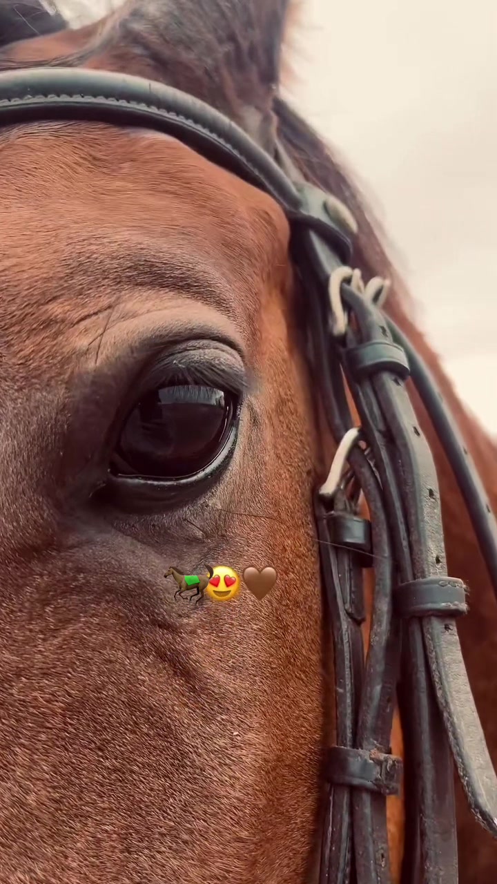 @❤️💫𝑺𝒂𝒎𝒊𝒓 𝑵𝒈𝒂𝒅𝒊💫❤️