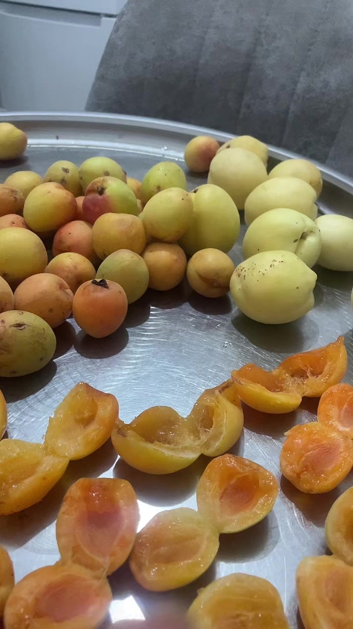 @Cengiz5138