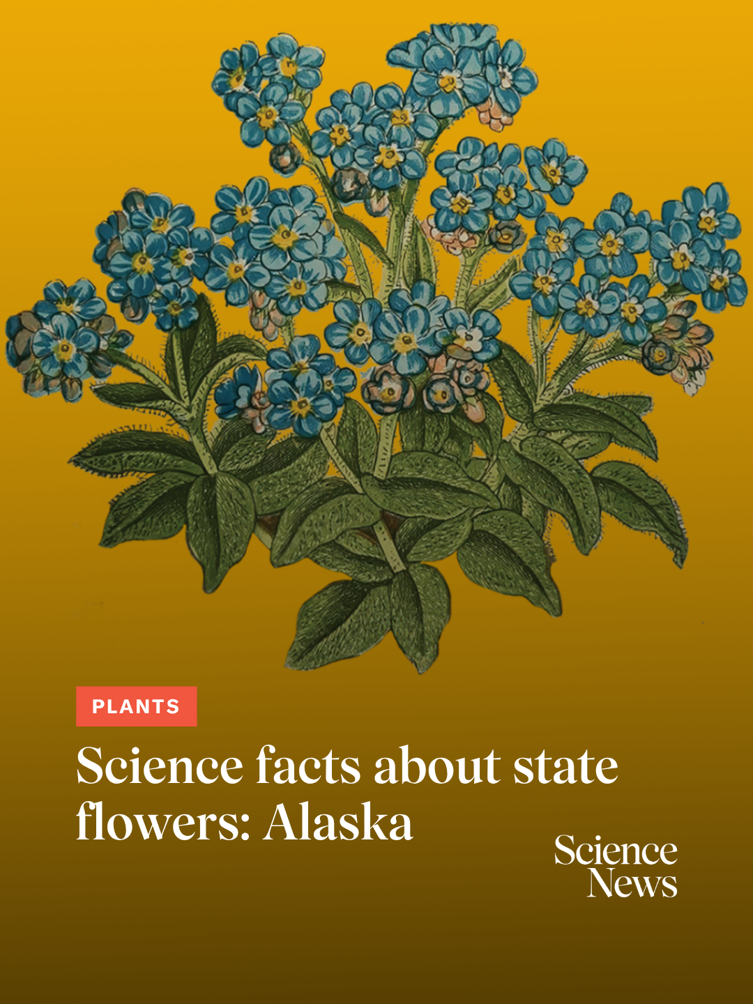 @Science News