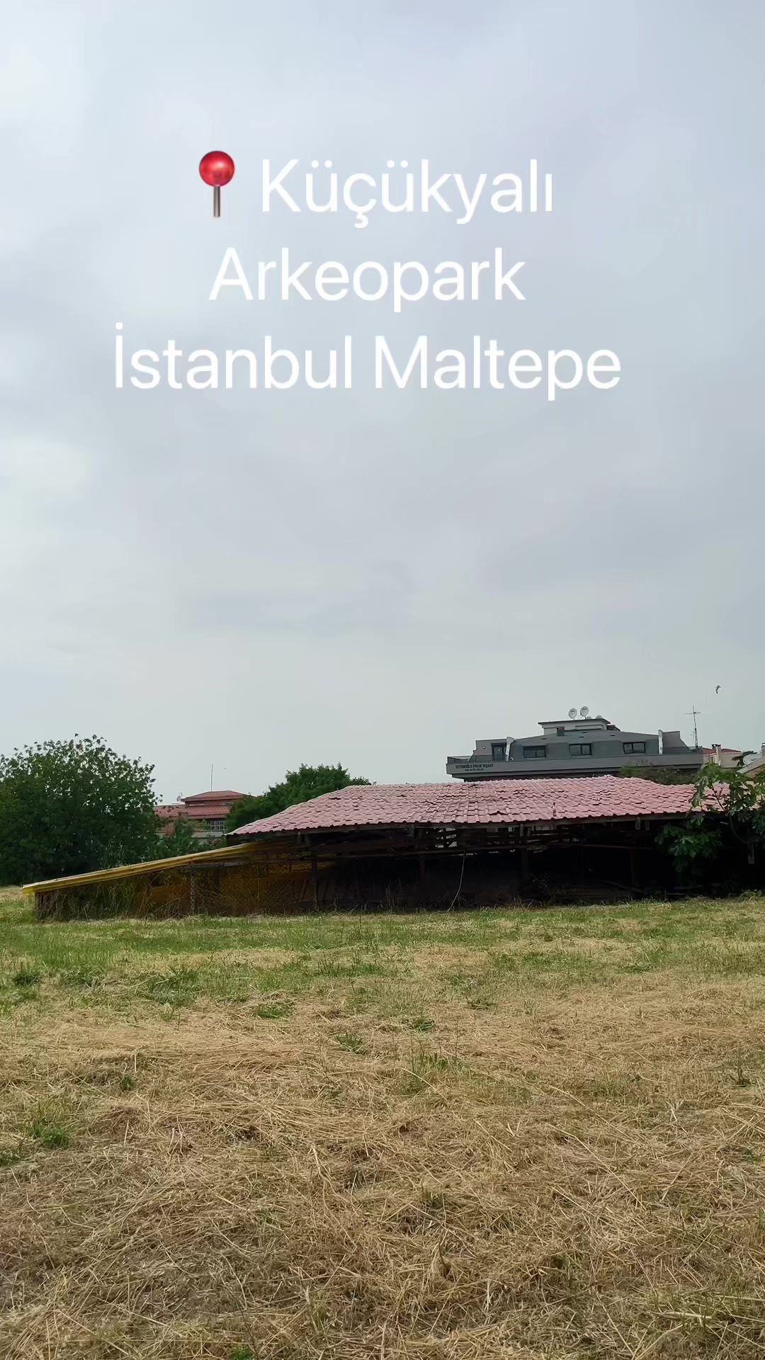 @Gezgin kitaphani