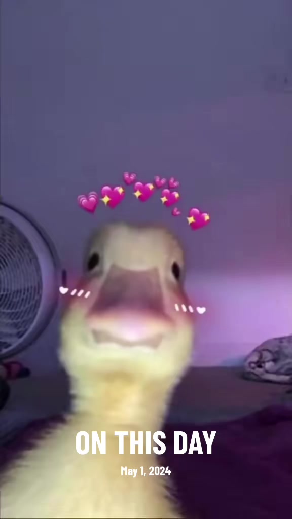 @๐ ๐ ๐ ๐ ๐๐