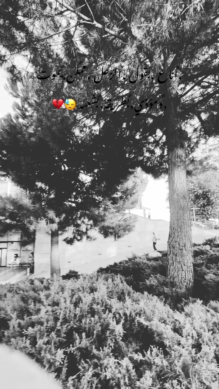 @تاريخ ال حلبي ١.📍🥷🏻 ً