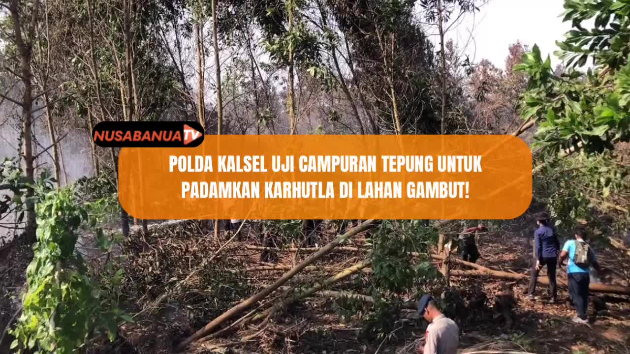 @Nusa Banua TV