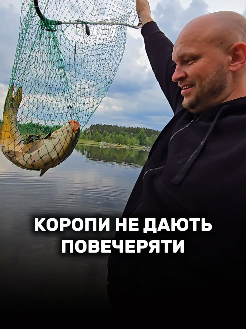 @Travelino