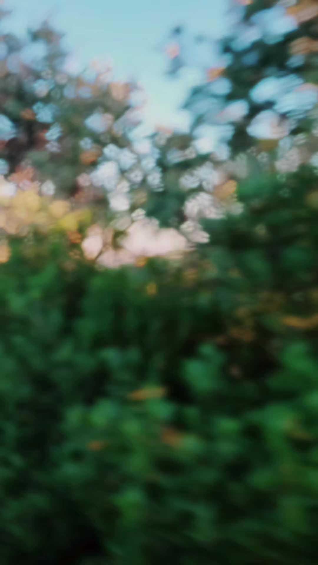 @لمسة نور الهدى