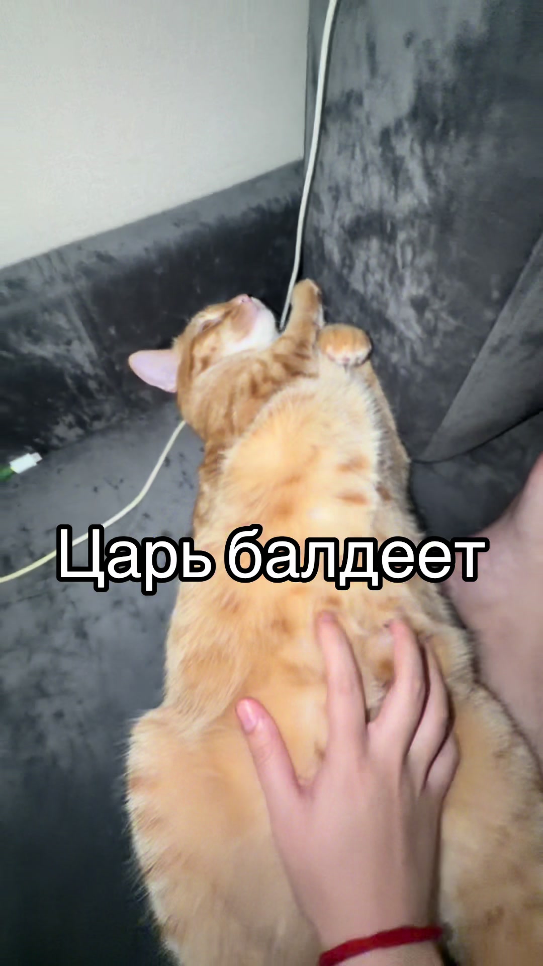 @кастрюля