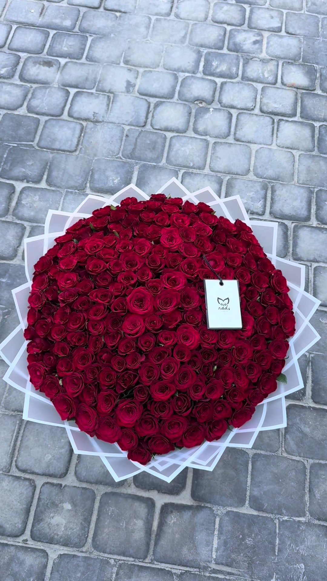 @Mradflowers