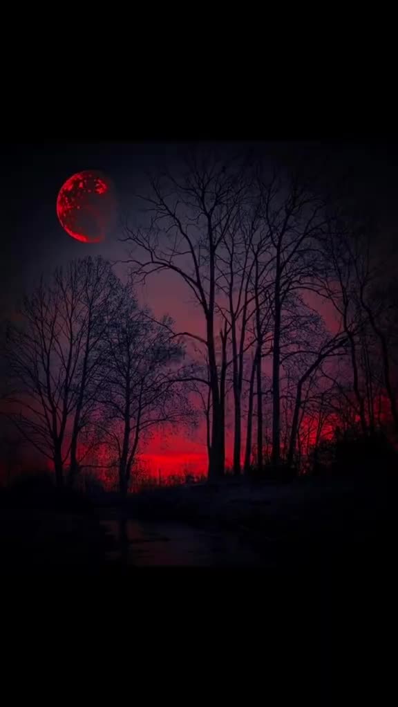 @✯͜͡𝄞𝐕𝐢𝐜𝐭𝐨𝐫✮⃝🖤🦋⃟≛⃝ 𝄟✮