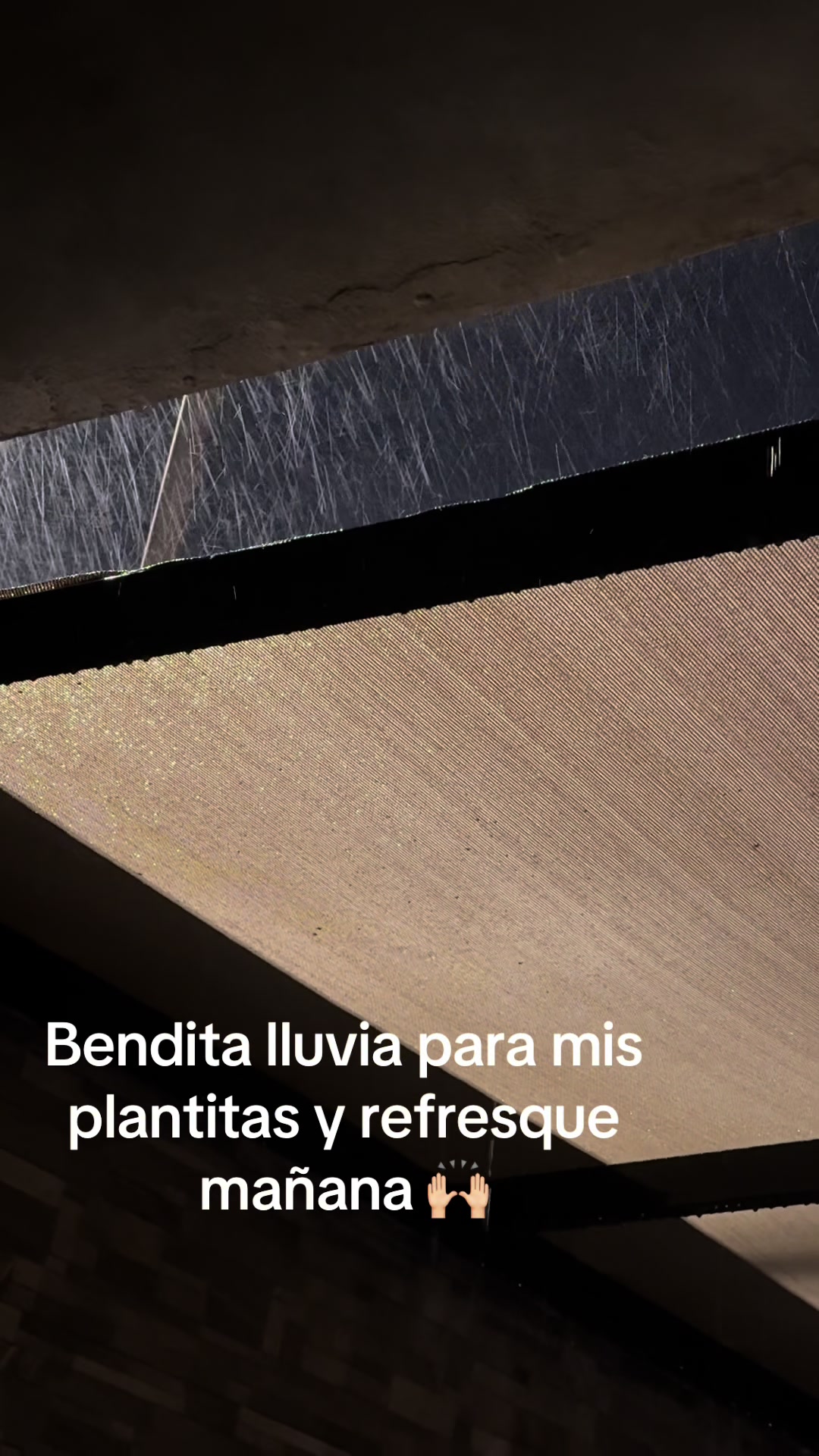 @icelagarrido6