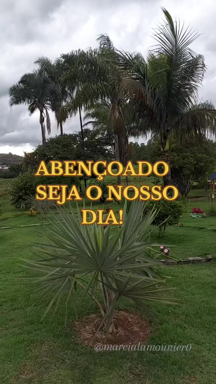 @Marcia Lamounier