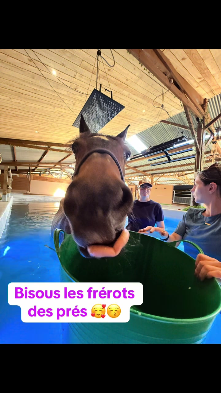 @Centre BienEtre Equin & Canin
