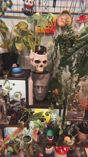 @🗡️🌿📚Tex📚🌿🗡️