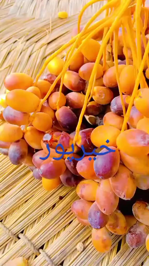 @kreemshaikh