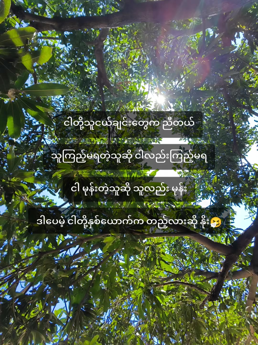 @🍃အမ်"Bi🍀