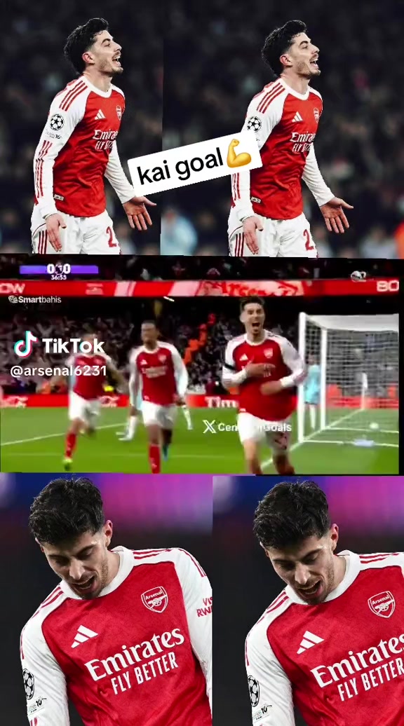 @shuguxii king
