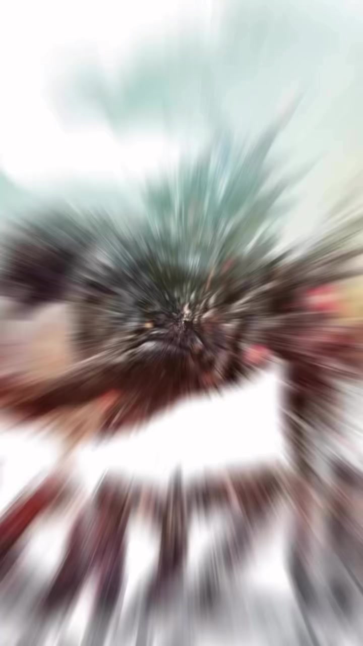 @☮️ & 💟