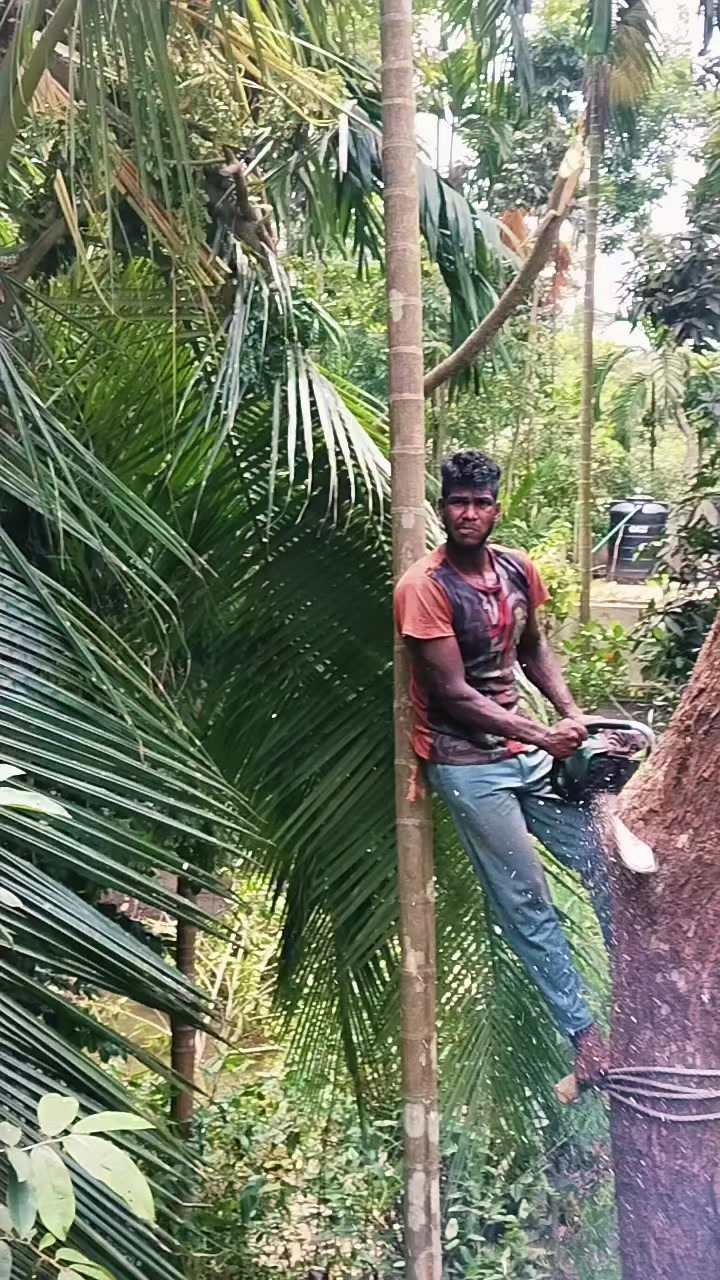 @যশোরের পোলা