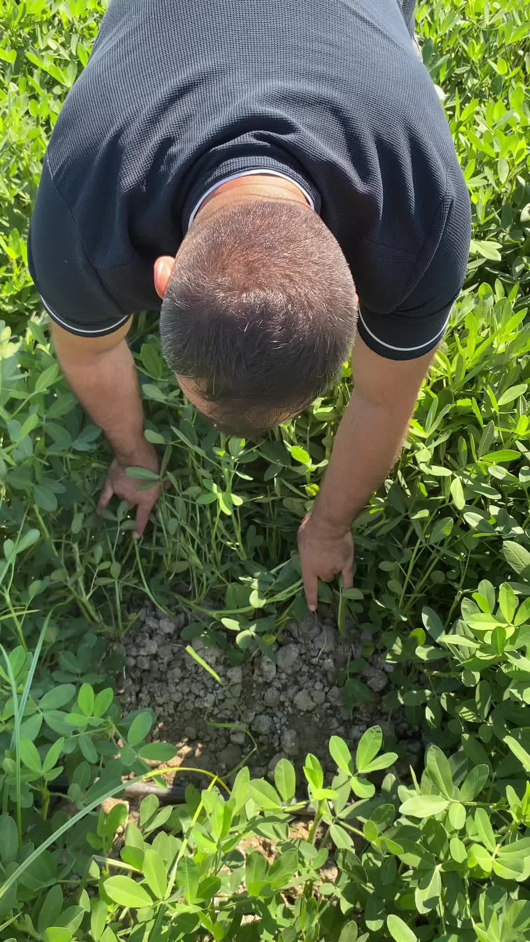 @Ramazan Taşkın