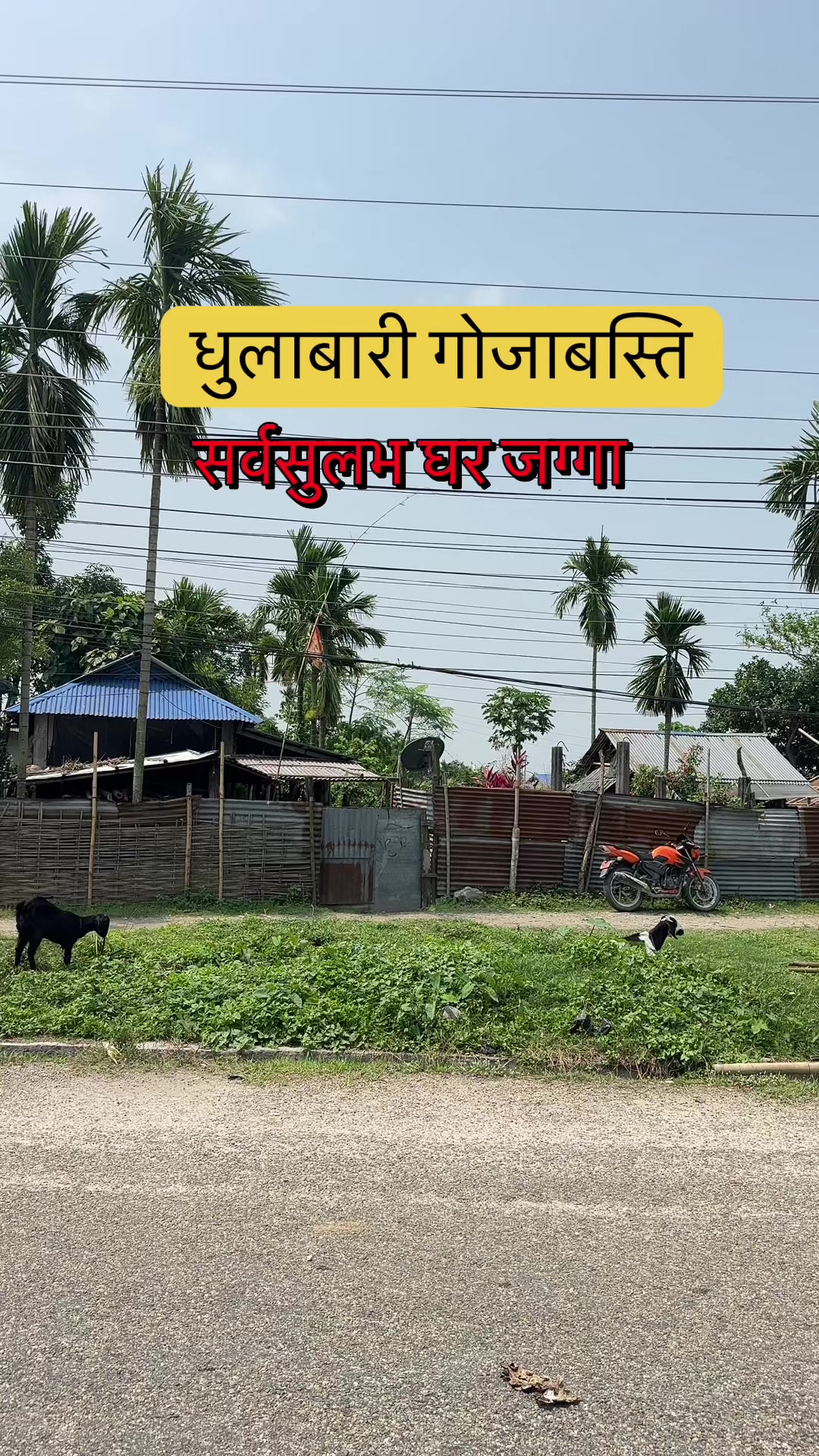 @Maikal ghar jagga