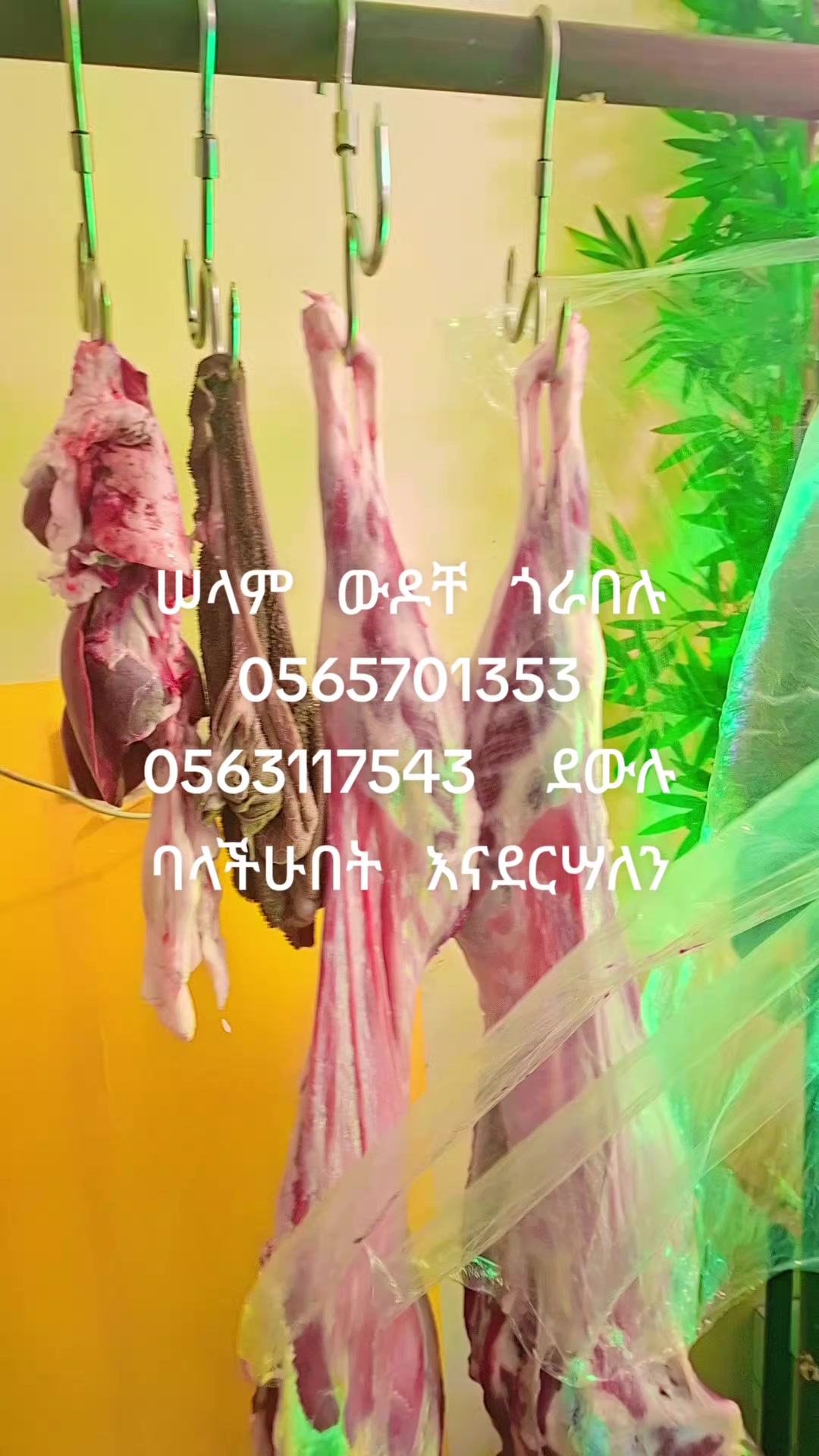 @ለማ ምግብ ቤት አድራሻ ጎይዛ