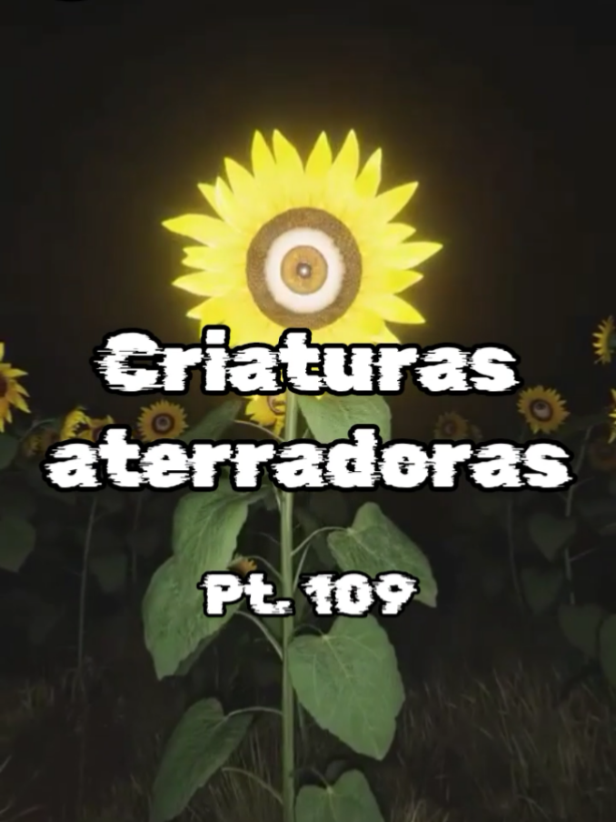 @Categorías Máster