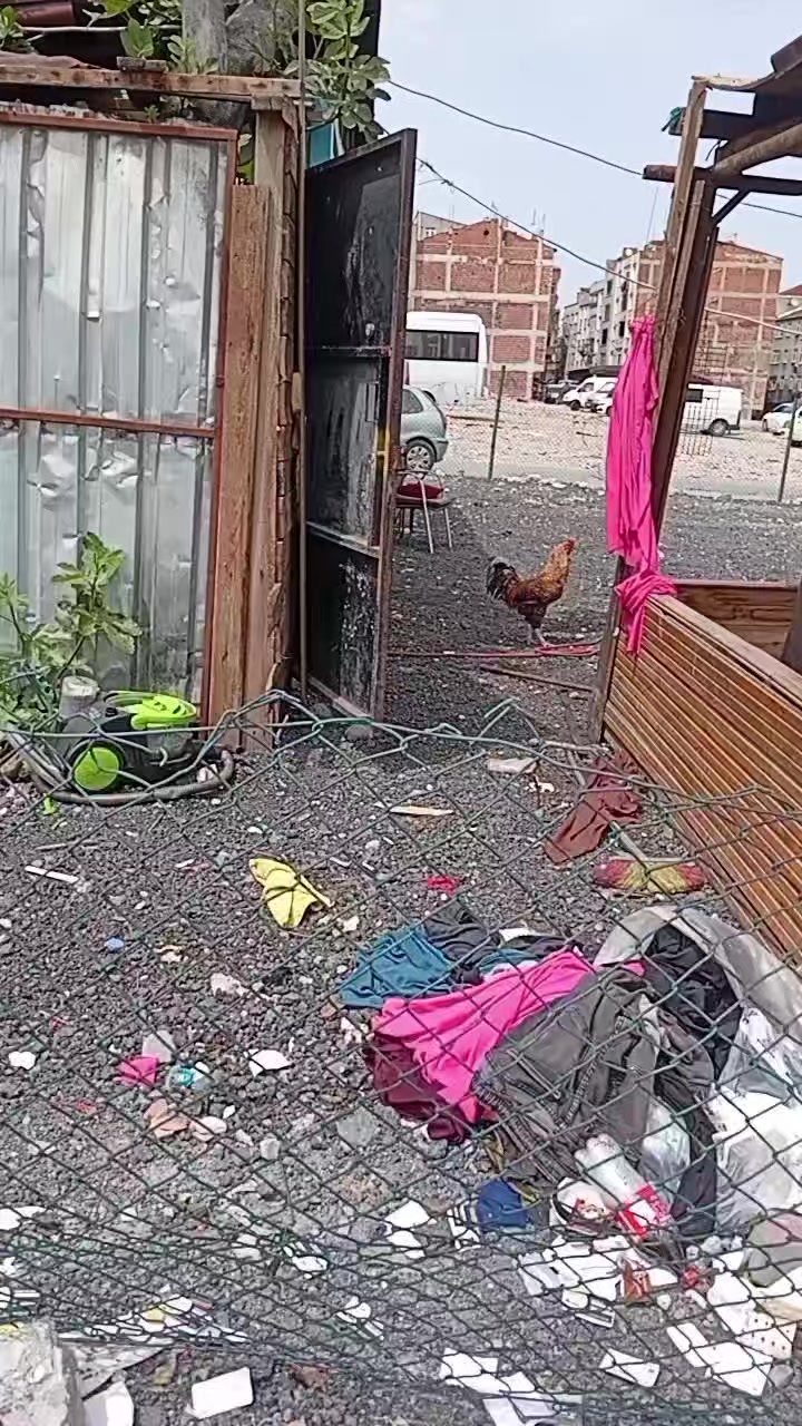 @🌿 çimen 🌿1313🌿