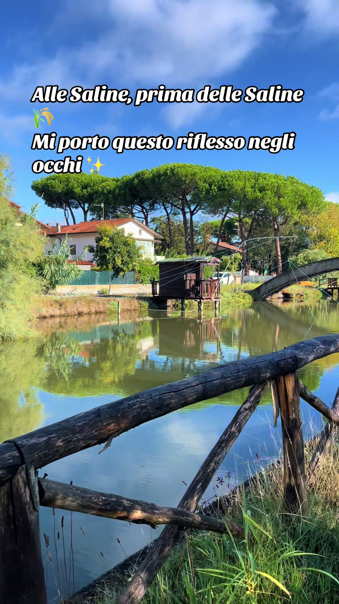 @Lupa di mare #🐺🌊🐺❤️&zwj;🔥