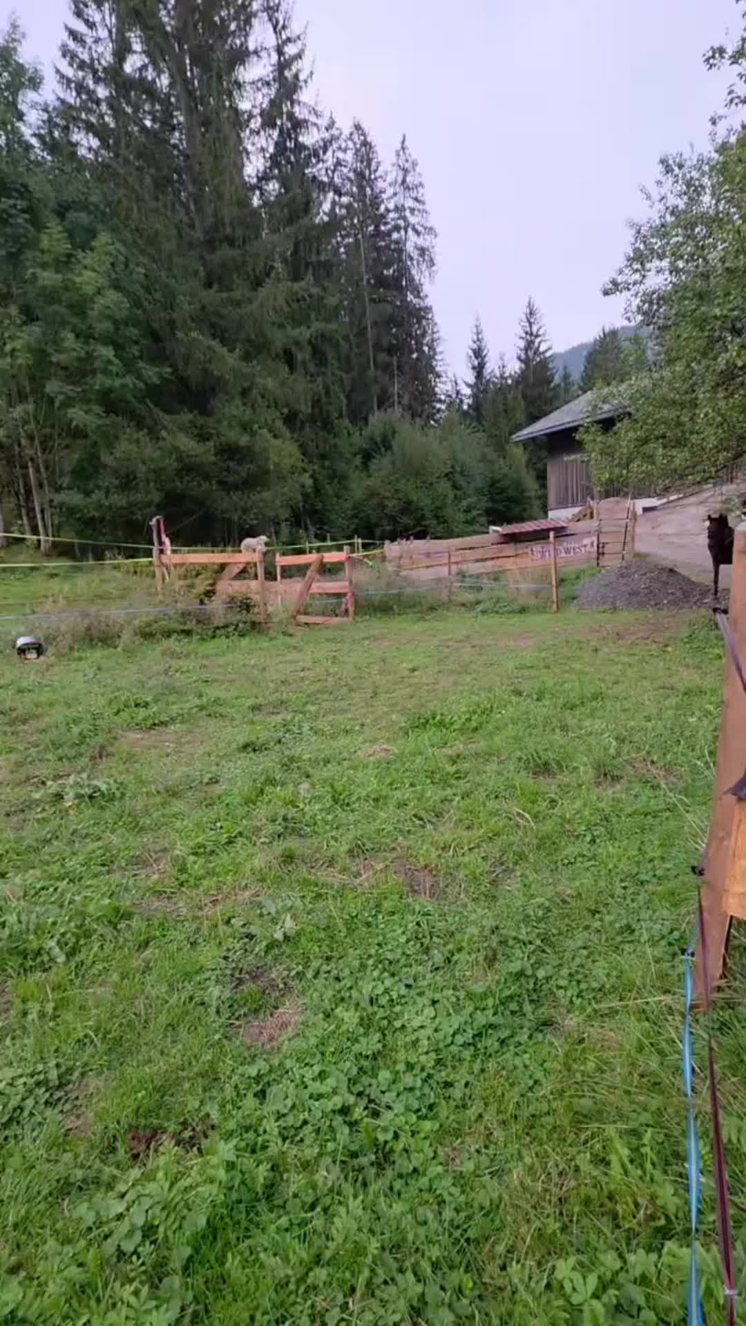 @Mountain Hill Ranch 🇦🇹