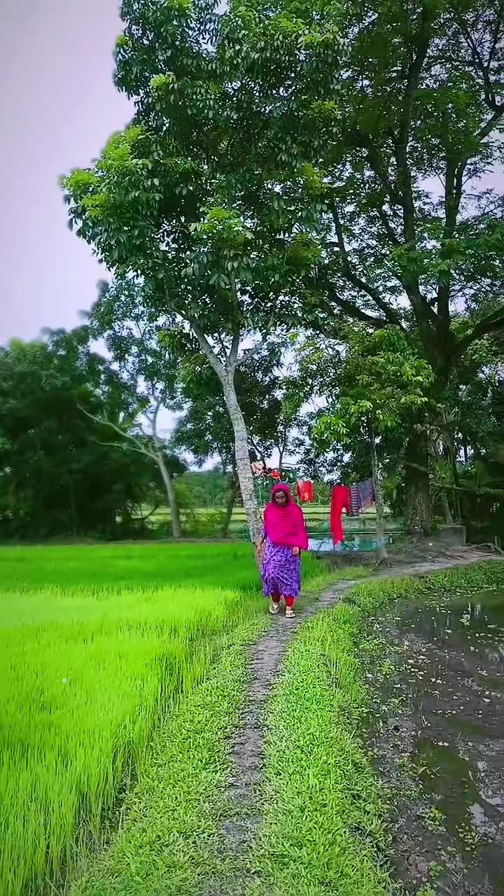 @🍁 MA Mahbuba 🍁