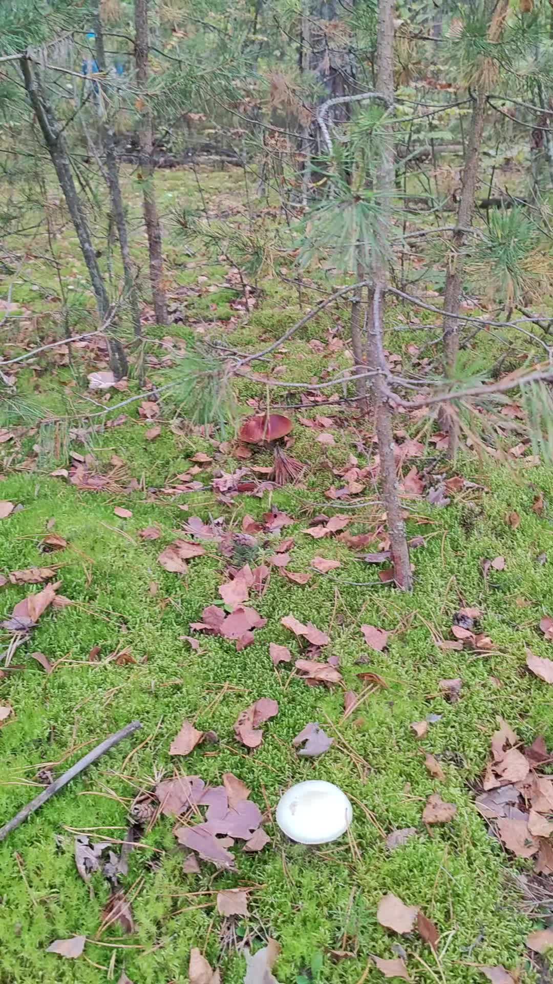 @(ЖОР)Жизнь Одного Рыбака