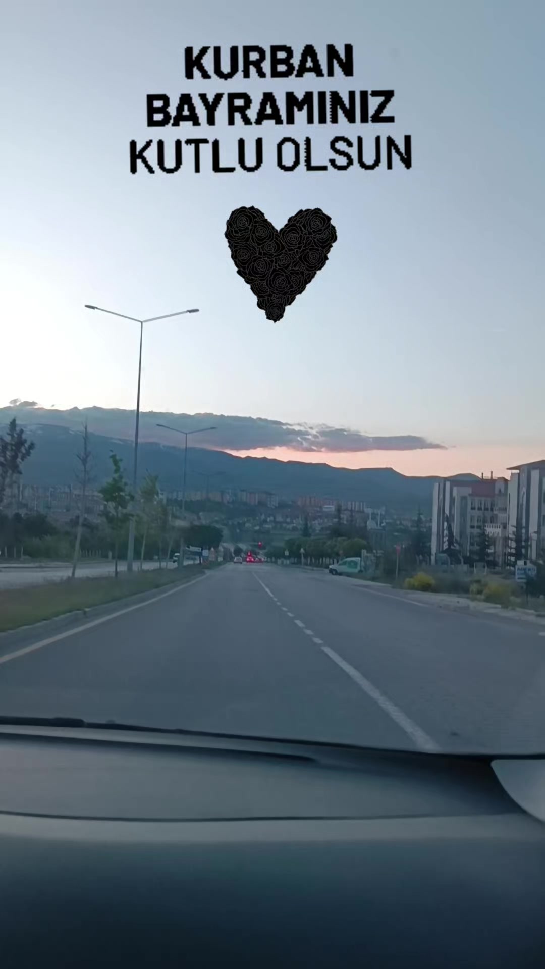@Lila Yasemin