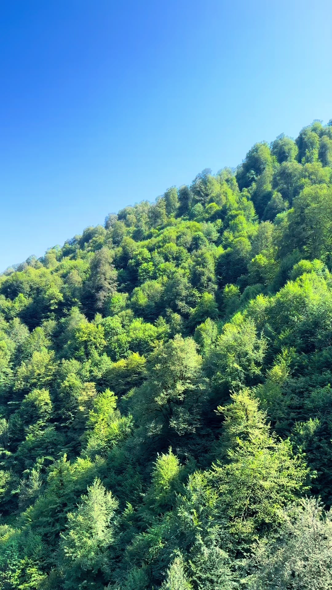 @𝑺.🇦🇿