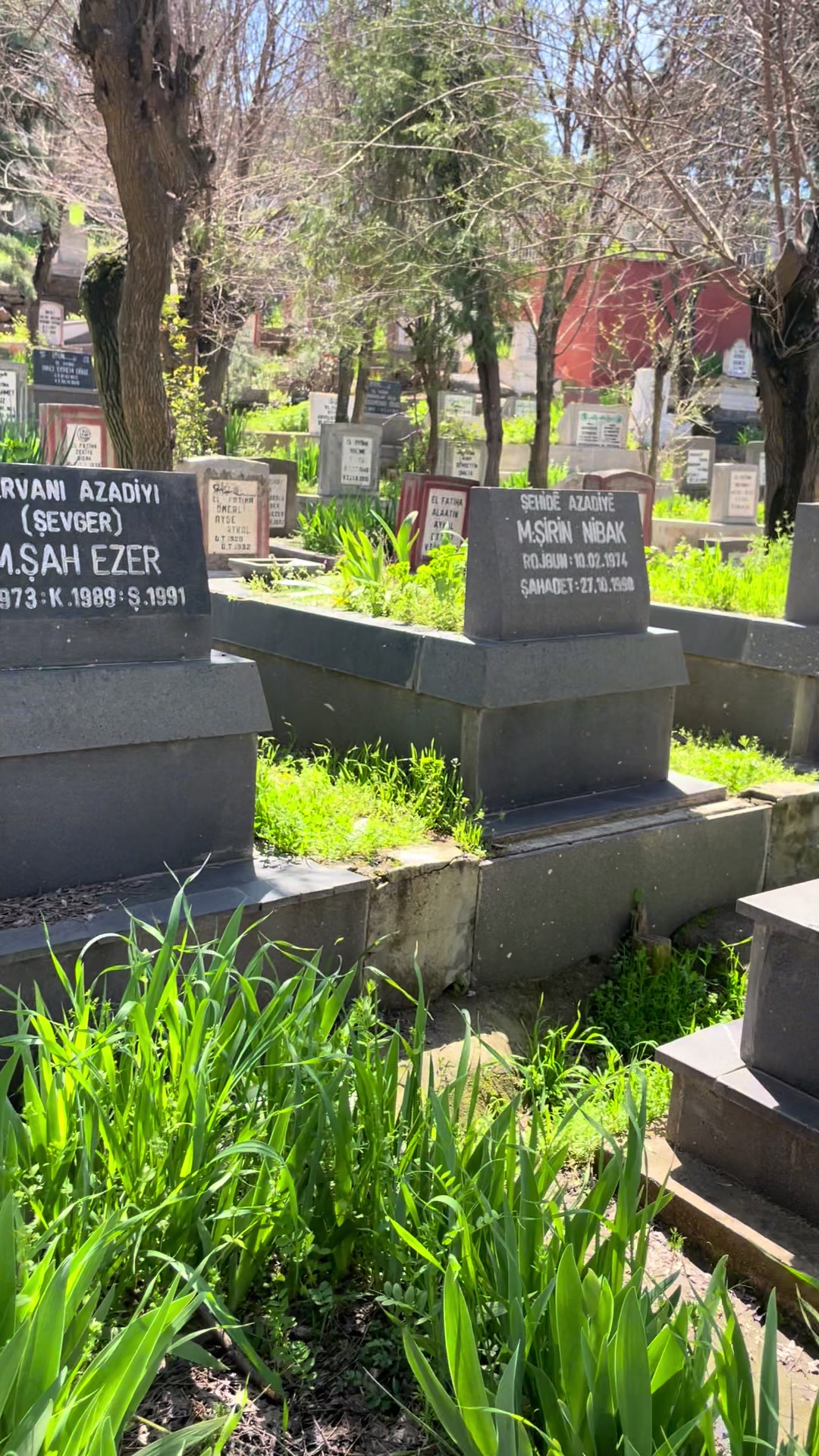 @Mahsum Ömeroğlu