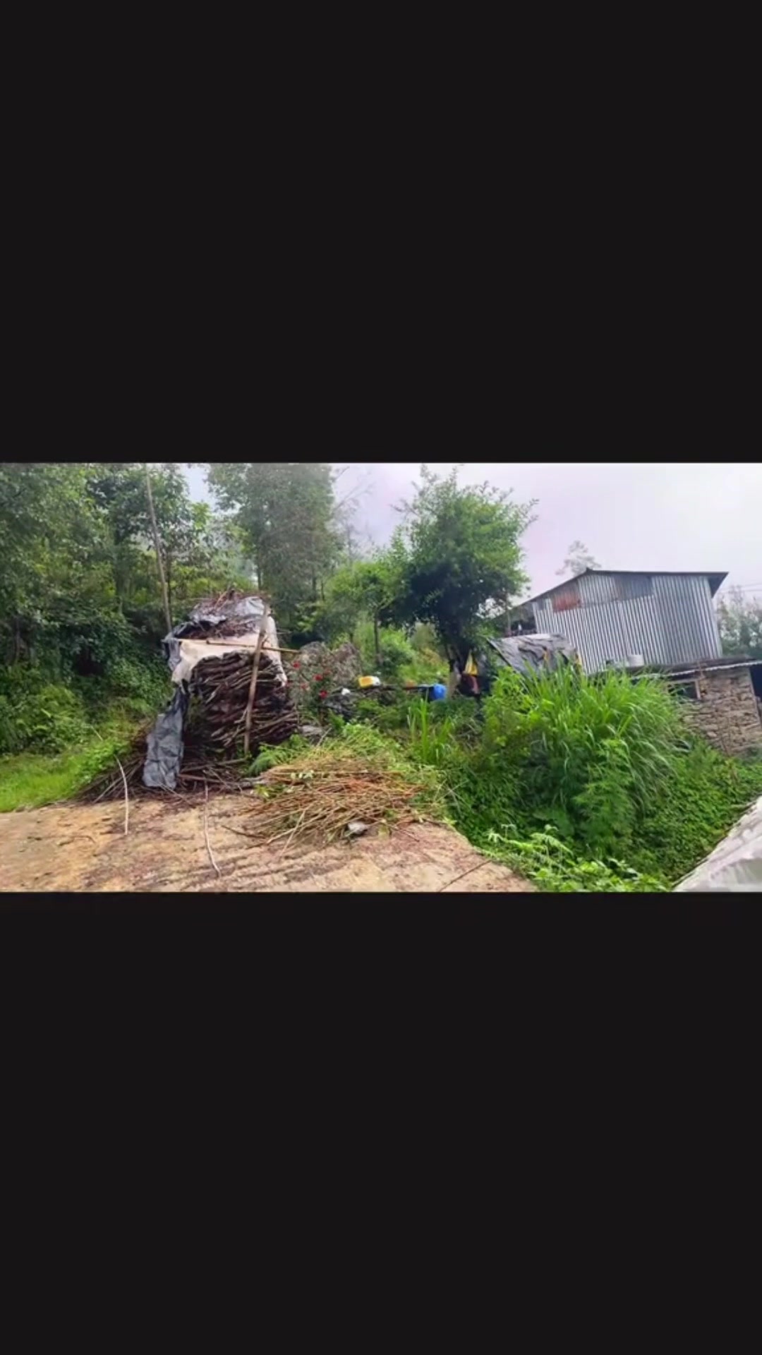 @mohan tamang100