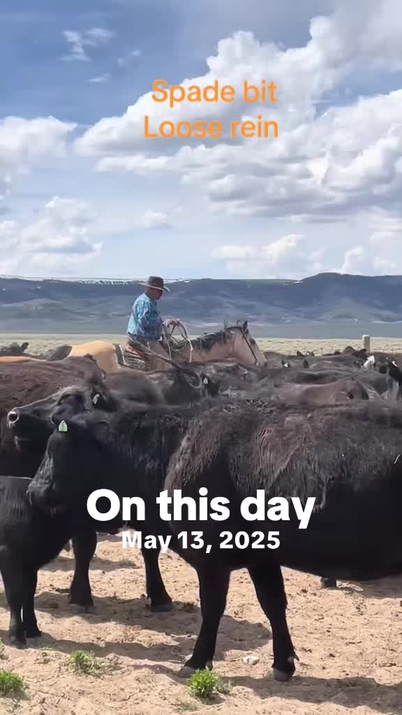 @JGullion.bits