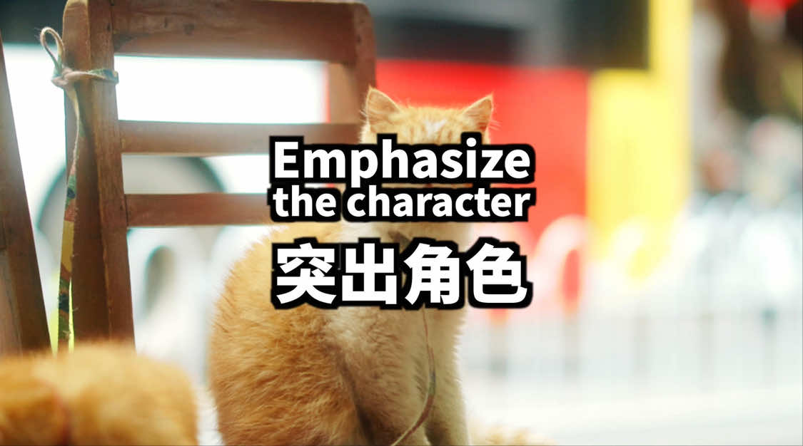 @Mr.Lu 卢