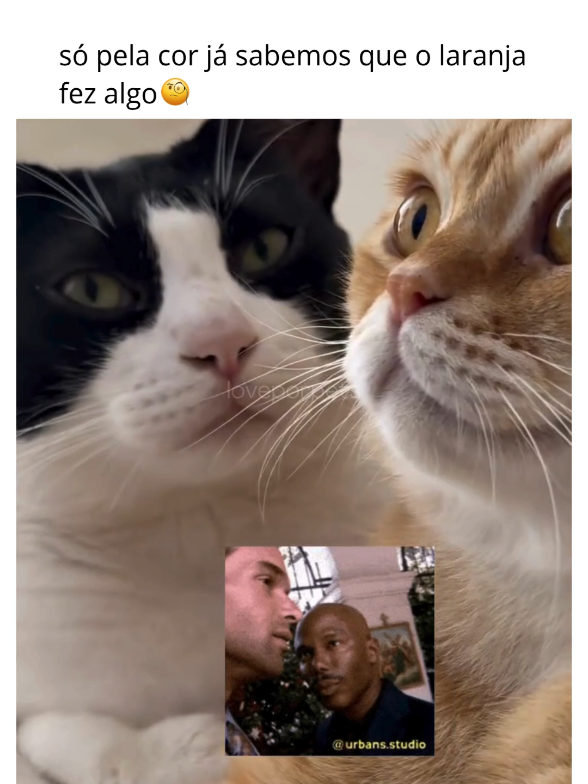 @LOVE POR PETS
