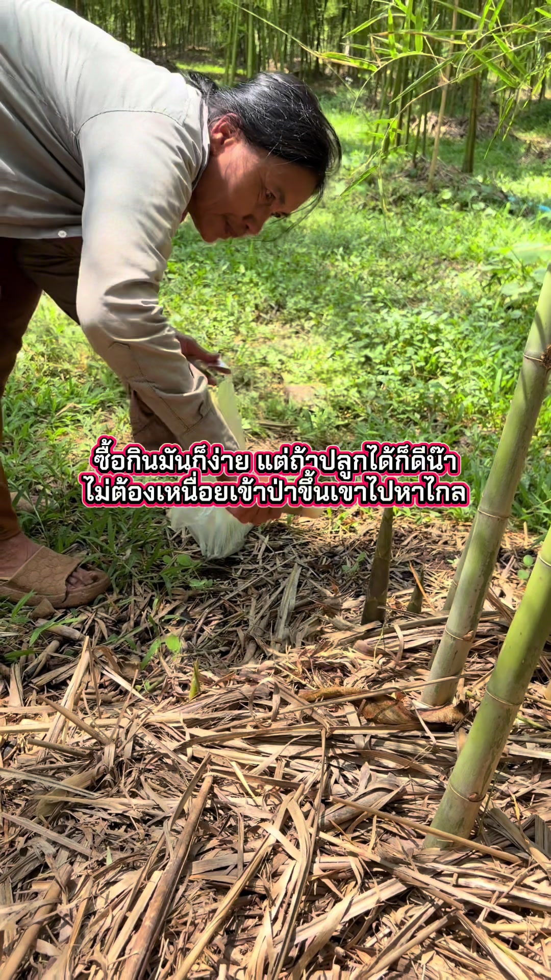 @นัดดาชอป