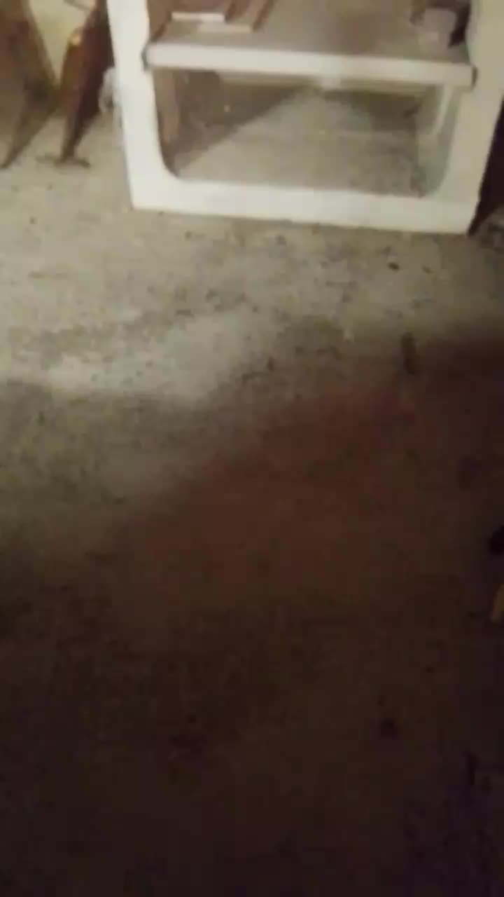 @alberturbooo