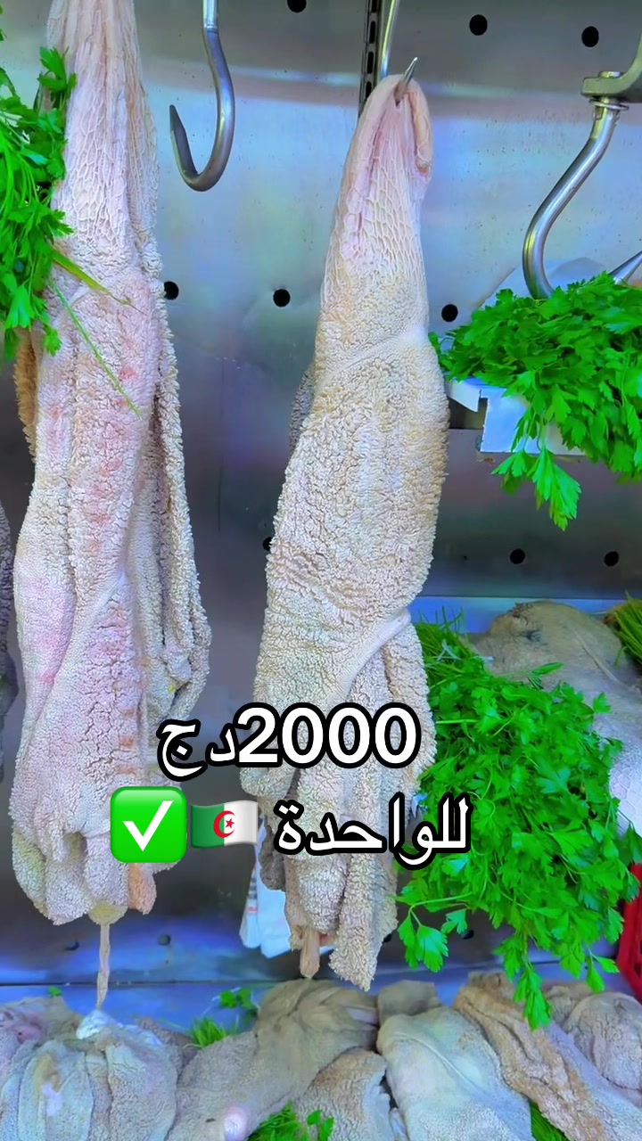 @omarleboucher