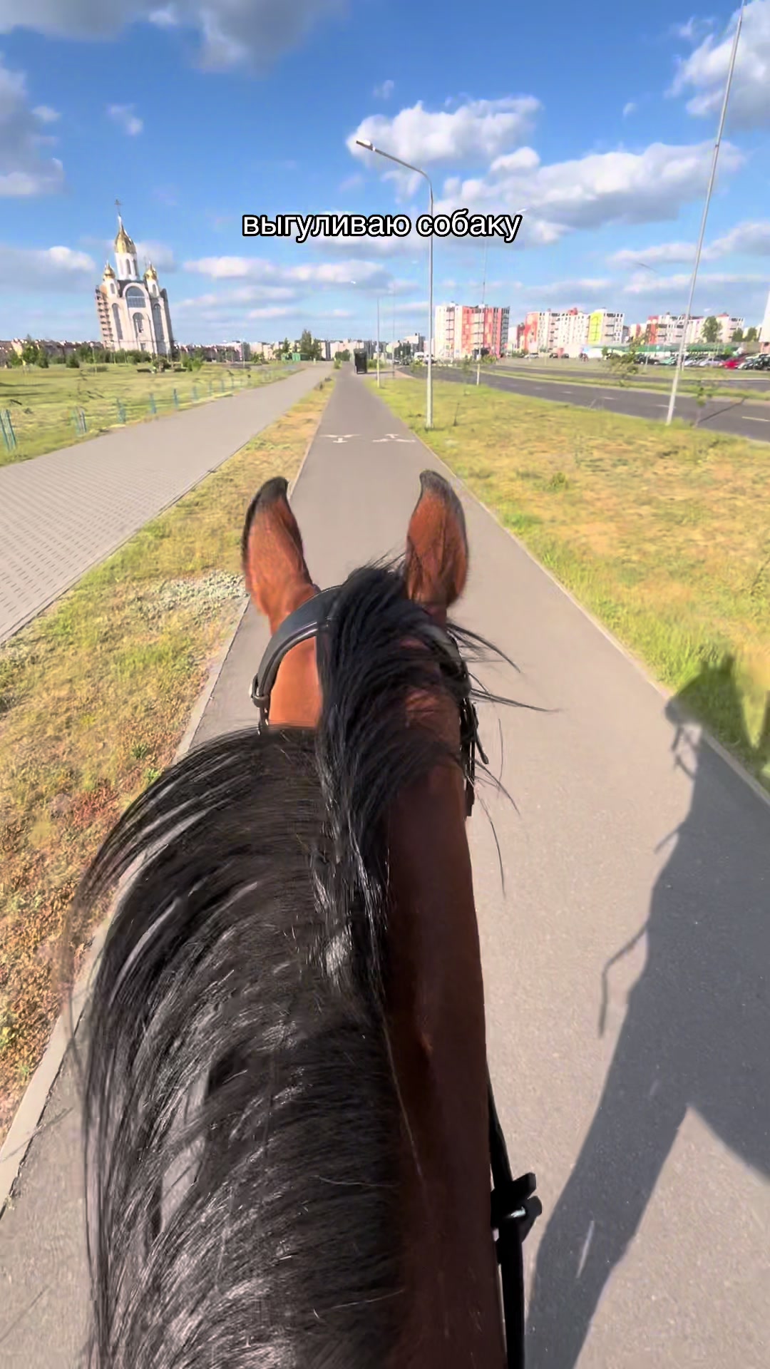 @❗Брест❗ 🐎Конюшня 🐎