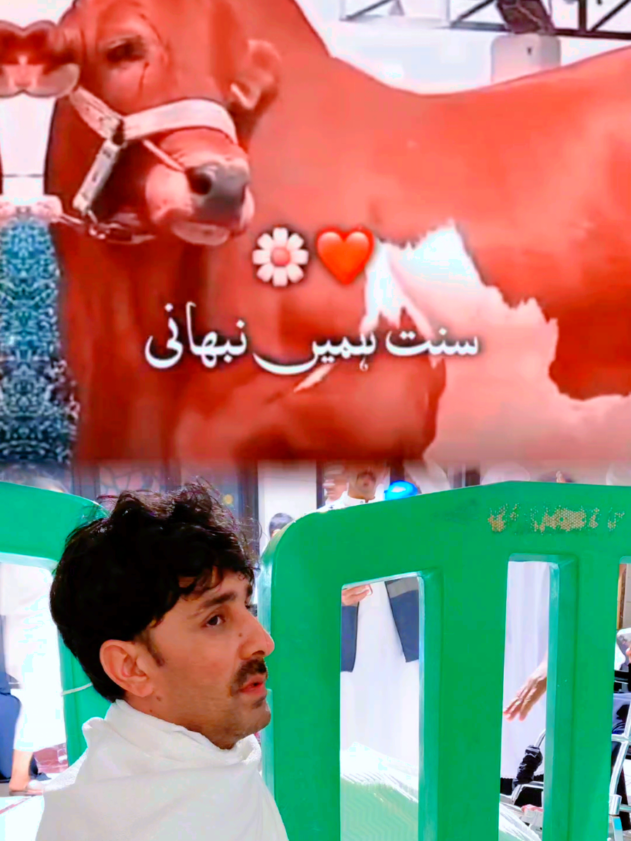 @pardesi