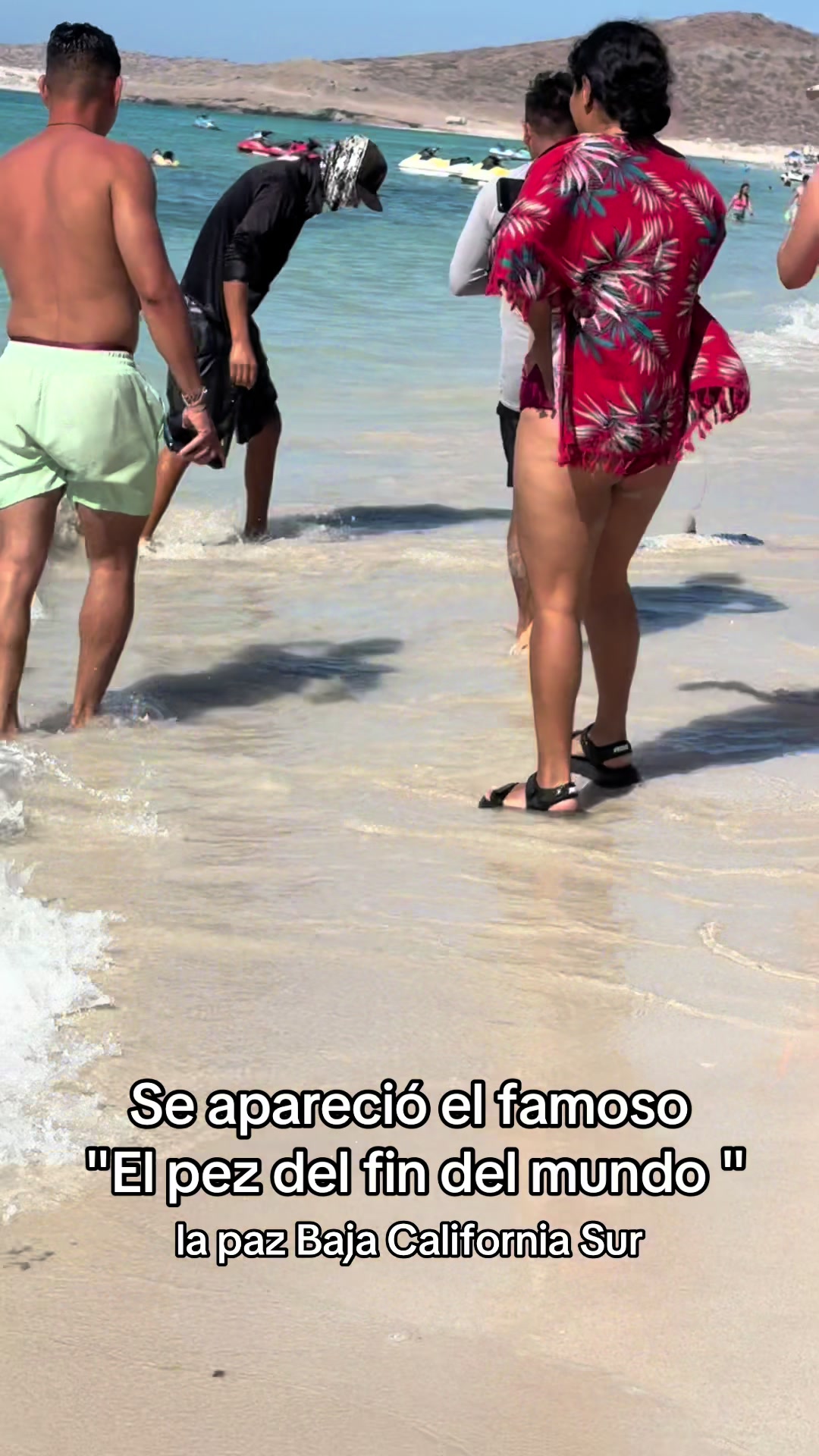 @Diana Salazar