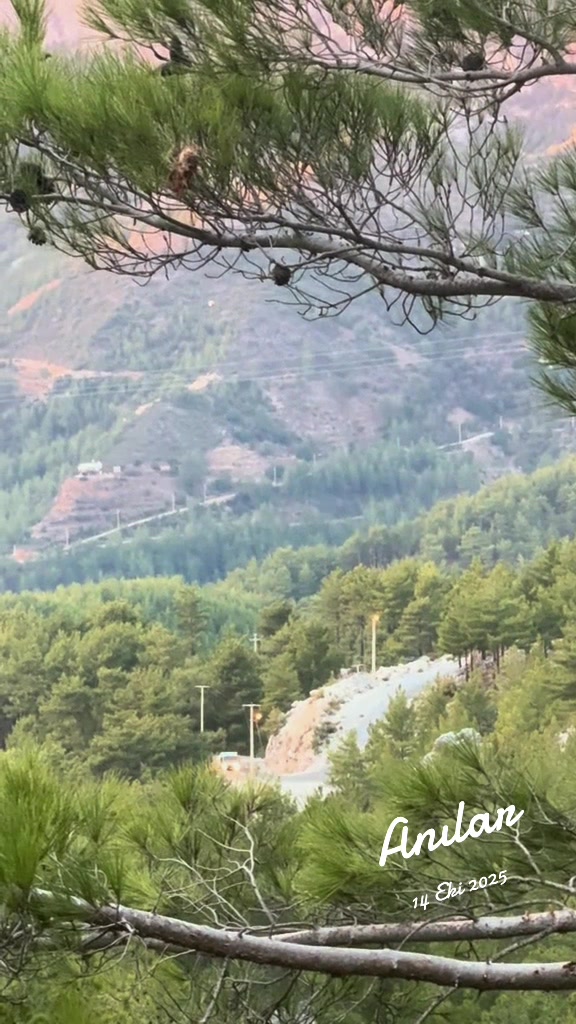 @Sorgun san gözleme evi alanya