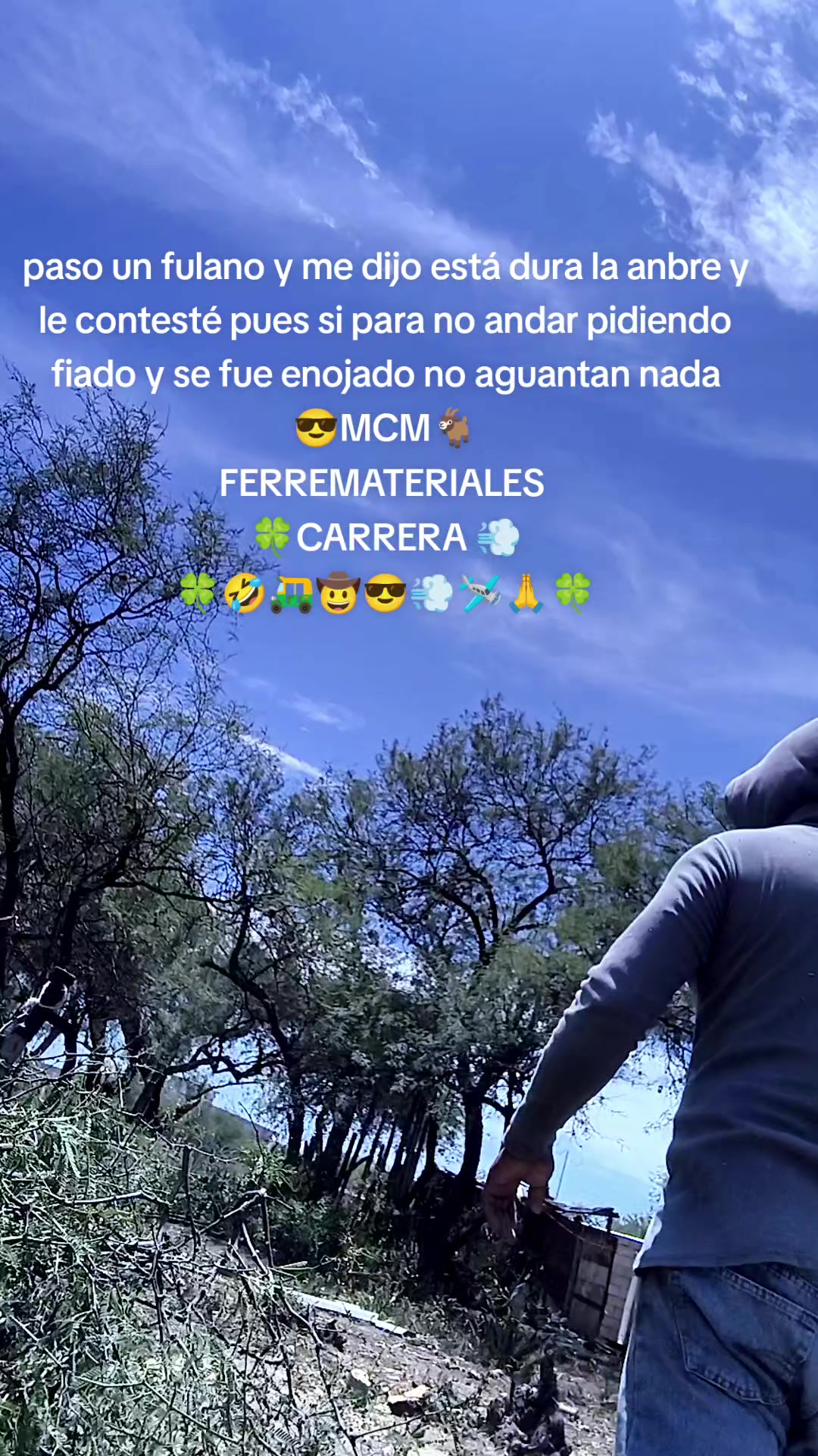 @mariocarrera966